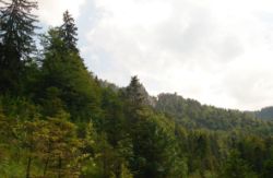 2013-07-20_Regina-F-Rau_Kochel-Rabenkopf (331)b.JPG